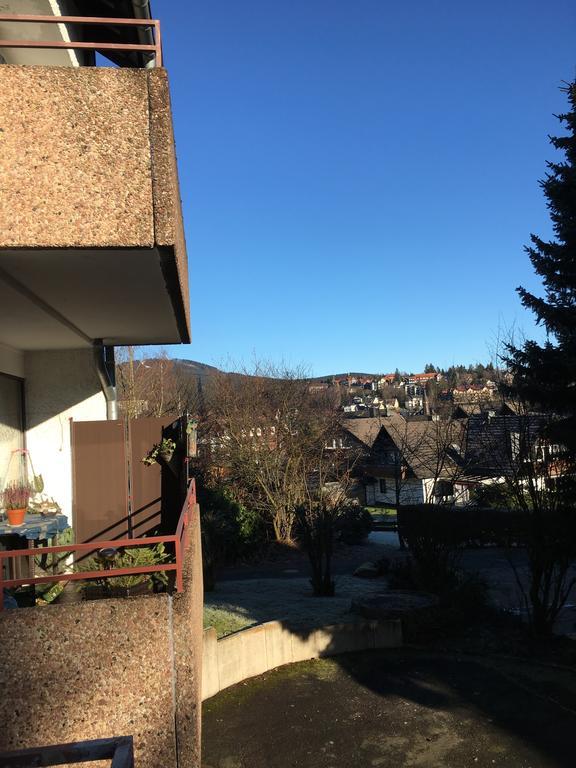 Ferienwohnung Harzmond Браунлаге Экстерьер фото